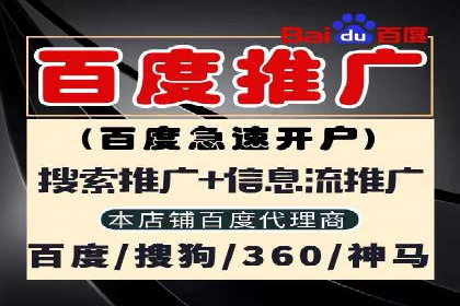 网站SEM托管服务成功案例分享